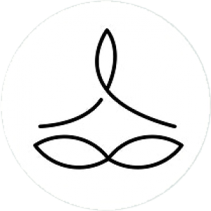 2icon.png 2icon.png